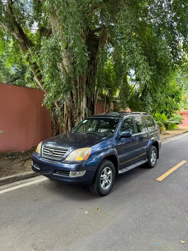 2007 Lexus GX
