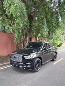 2020 Infiniti QX80
