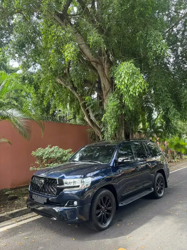 2019 Toyota Land Cruiser