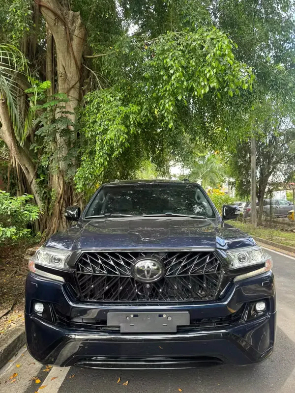 2019 Toyota Land Cruiser