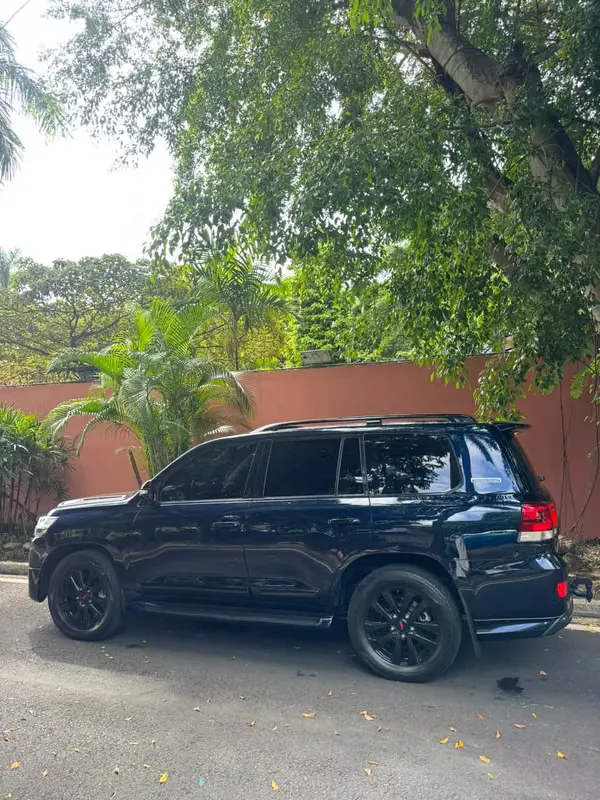2019 Toyota Land Cruiser