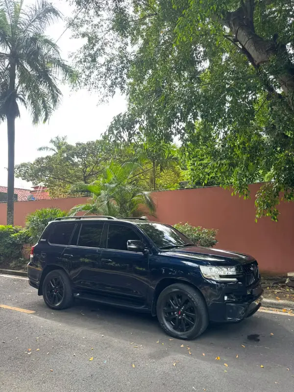 2019 Toyota Land Cruiser