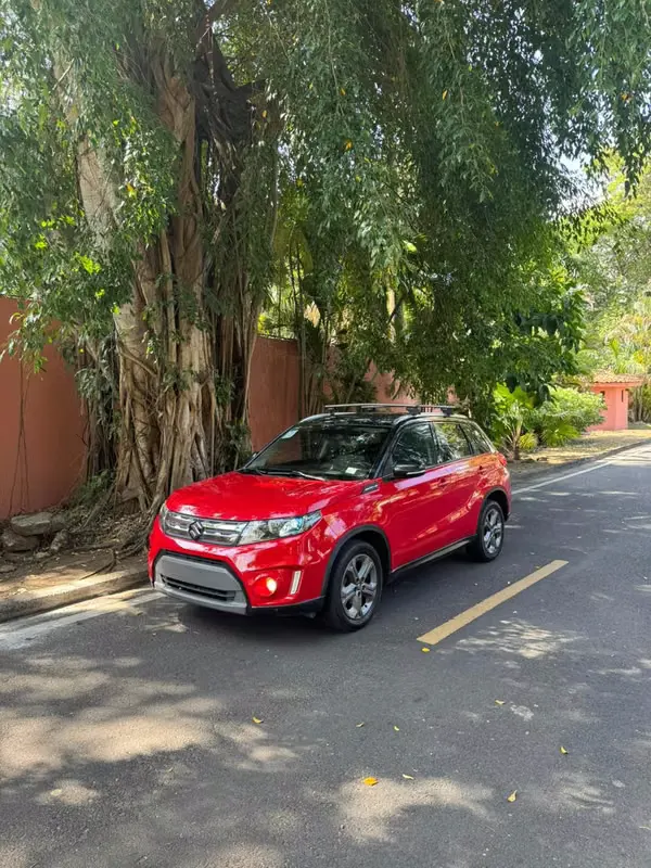 2017 Suzuki Vitara