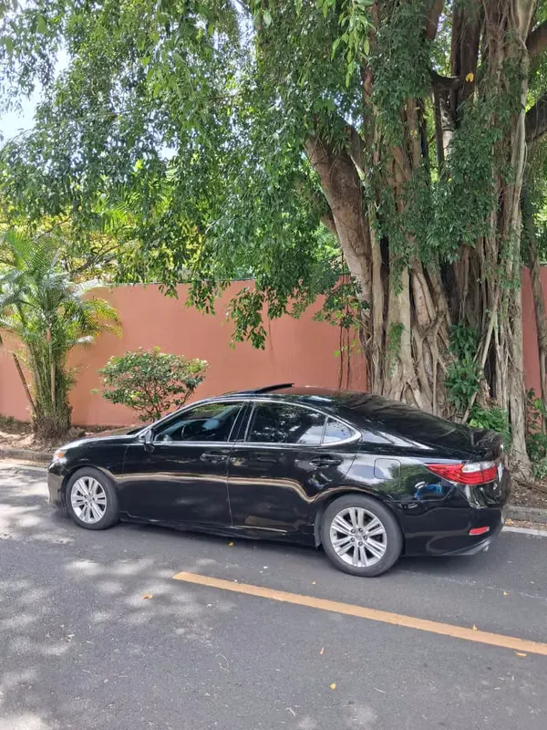 2014 Lexus ES