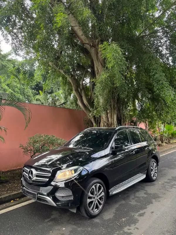 2016 Mercedes-Benz GLE