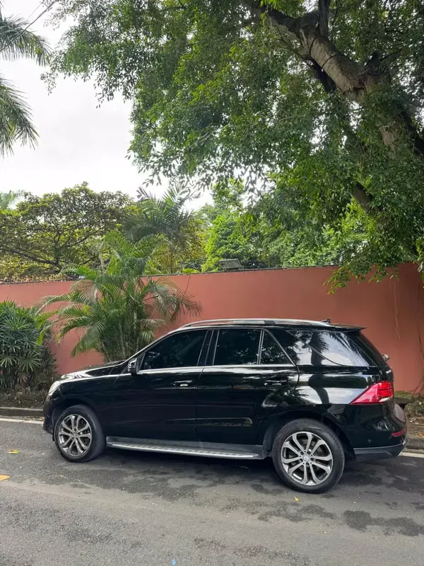 2016 Mercedes-Benz GLE