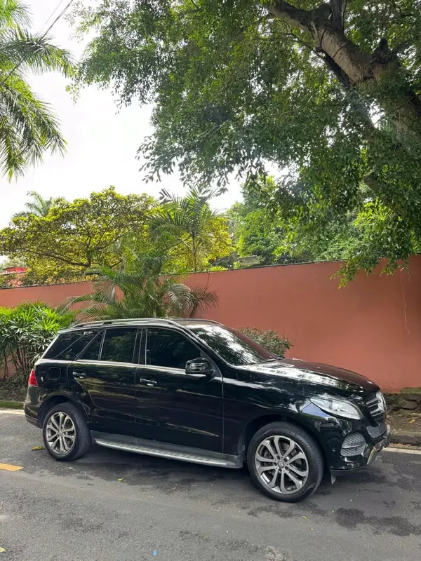 2016 Mercedes-Benz GLE