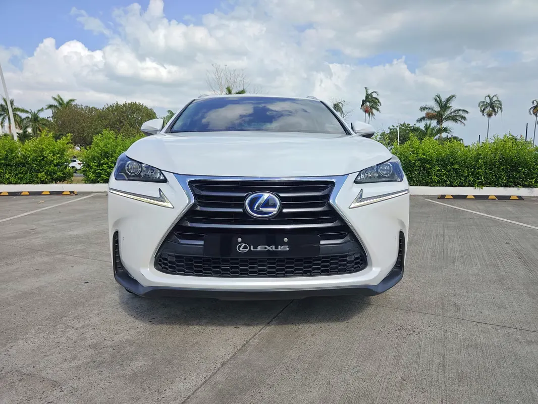 2017 Lexus NX