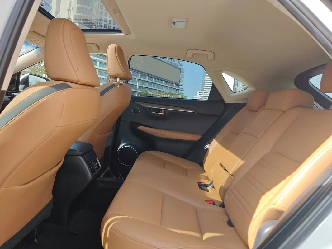 2017 Lexus NX