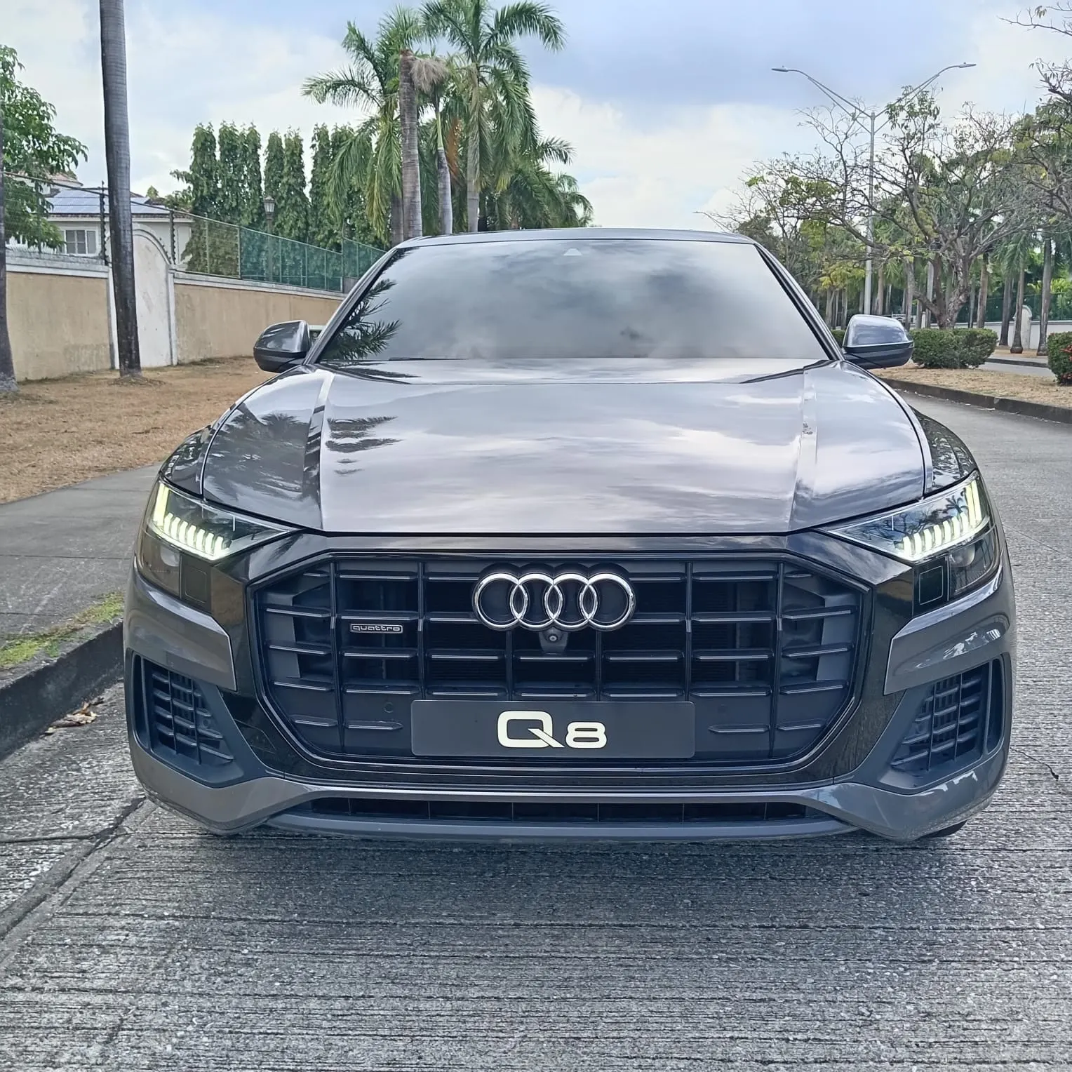 2019 Audi Q8