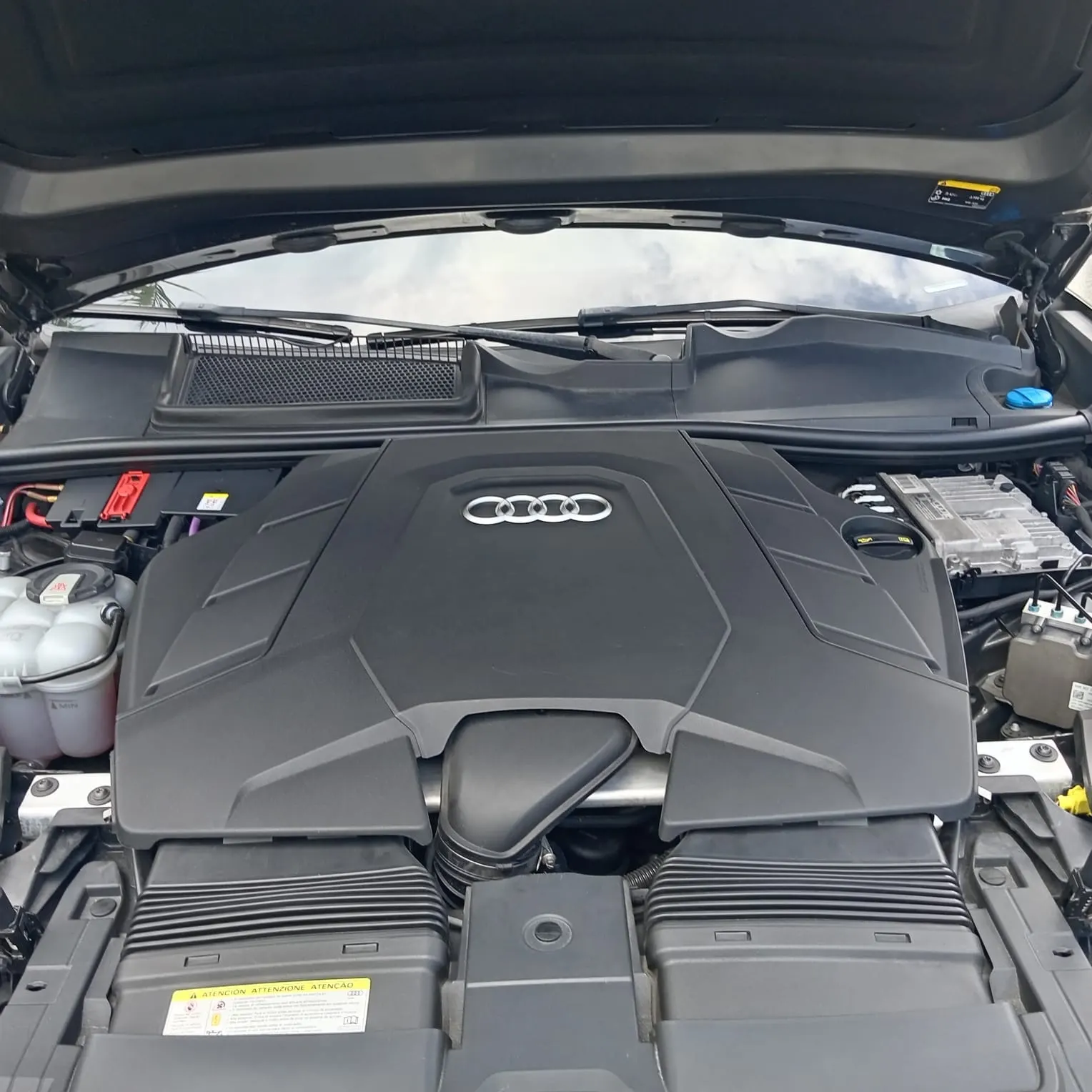 2019 Audi Q8