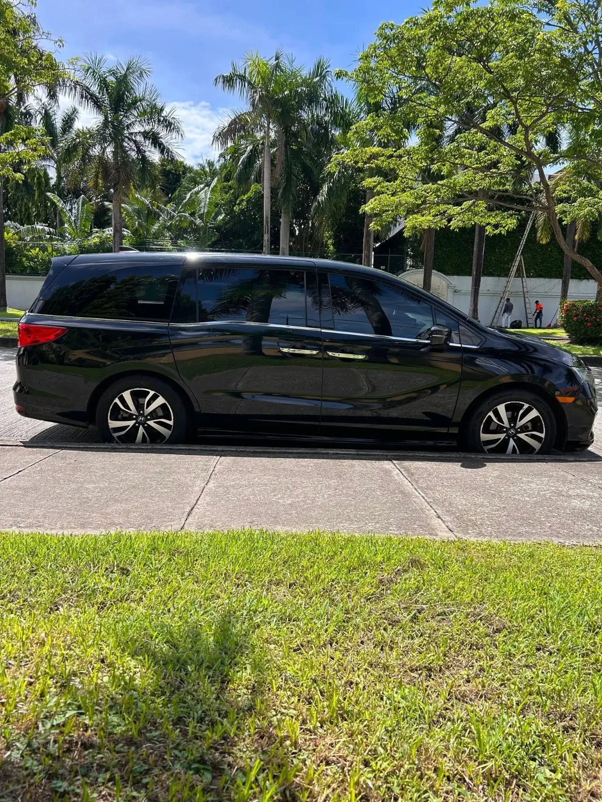 2019 Honda Odyssey