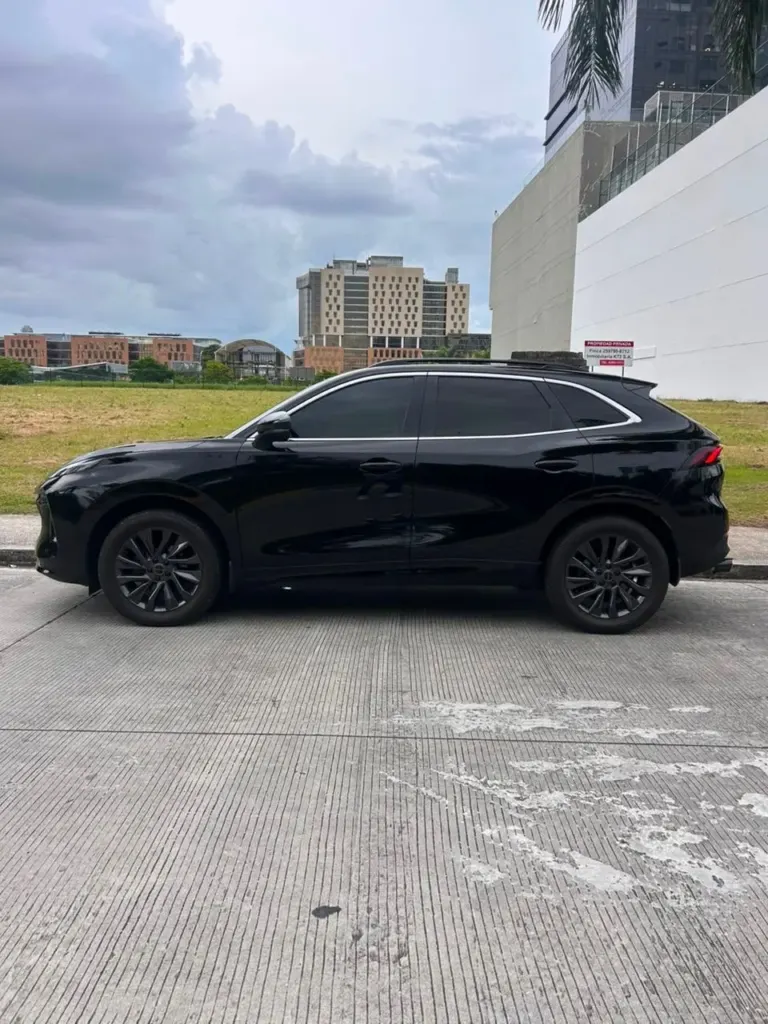 2024 Forthing T5 EVO