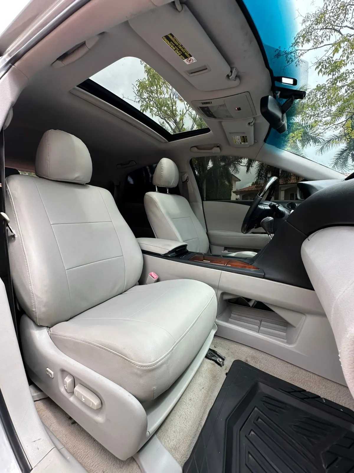 2010 Lexus RX
