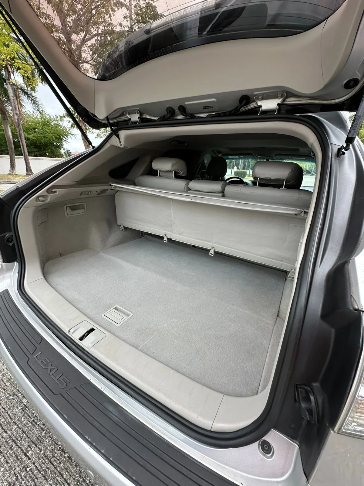 2010 Lexus RX