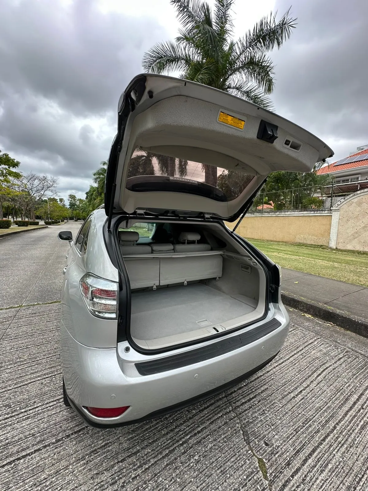 2010 Lexus RX