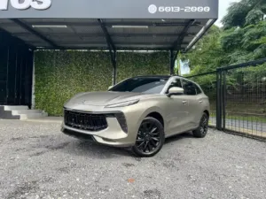 2024 Dongfeng T5 Evo