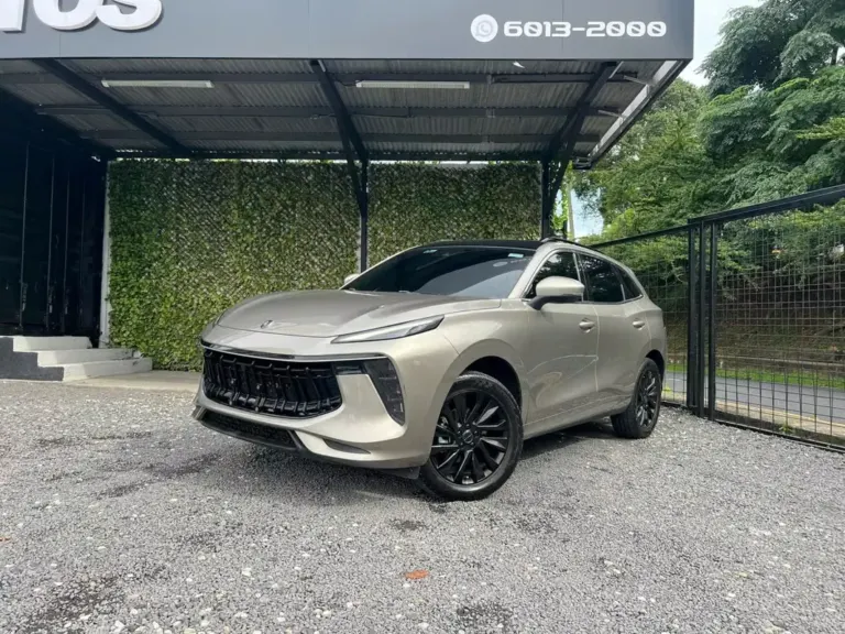 2024 Dongfeng T5 Evo