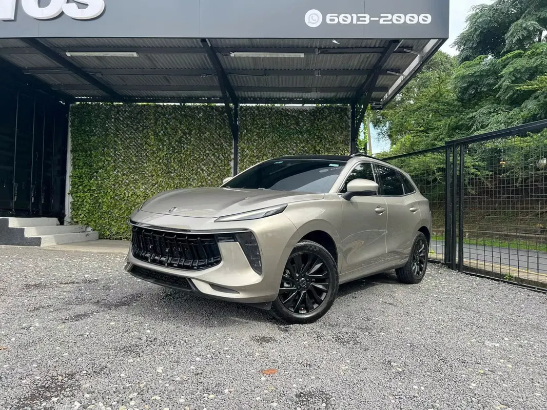2024 Dongfeng T5 Evo