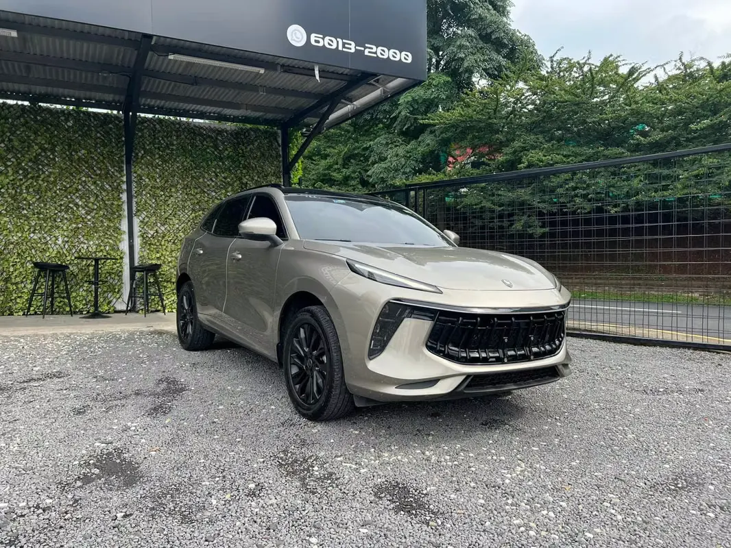 2024 Dongfeng T5 Evo