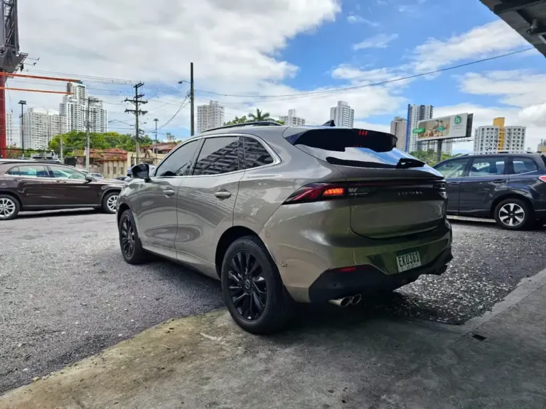 2024 Dongfeng T5 Evo