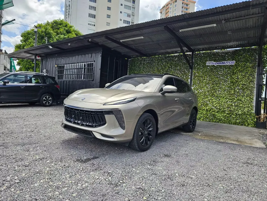 2024 Dongfeng T5 Evo