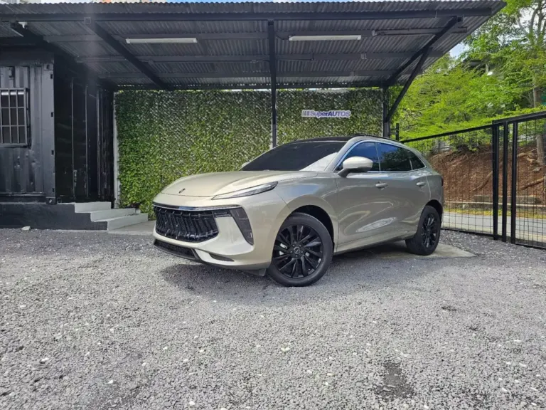 2024 Dongfeng T5 Evo