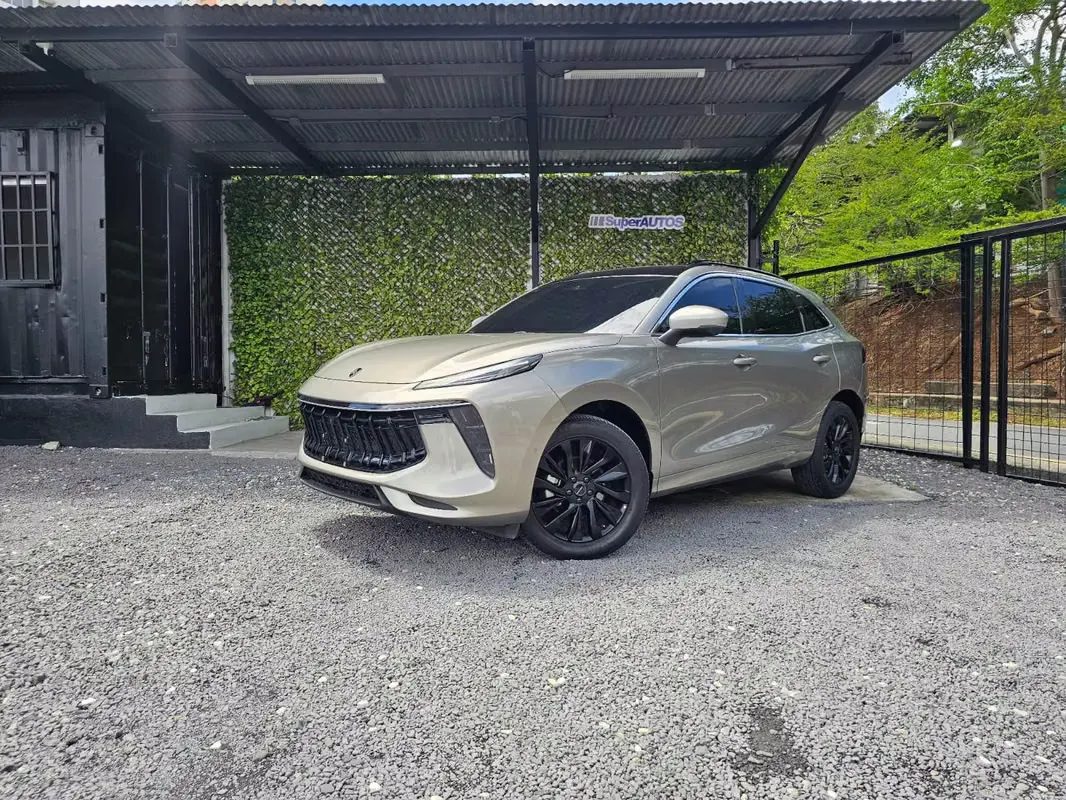 2024 Dongfeng T5 Evo