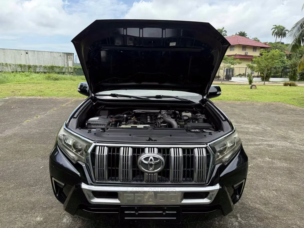 2019 Toyota Land Cruiser Prado