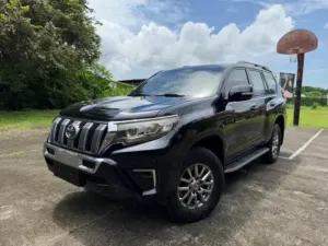 2019 Toyota Land Cruiser Prado