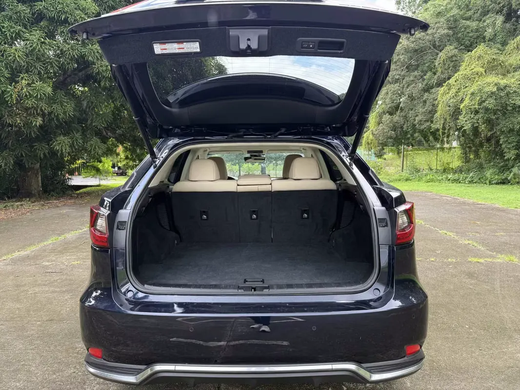 2021 Lexus RX