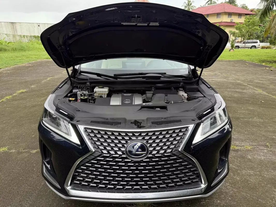 2021 Lexus RX