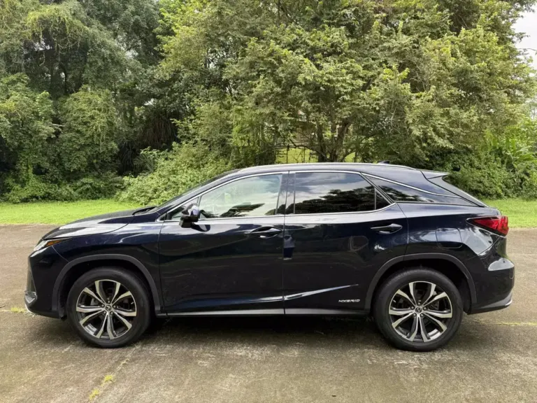 2021 Lexus RX