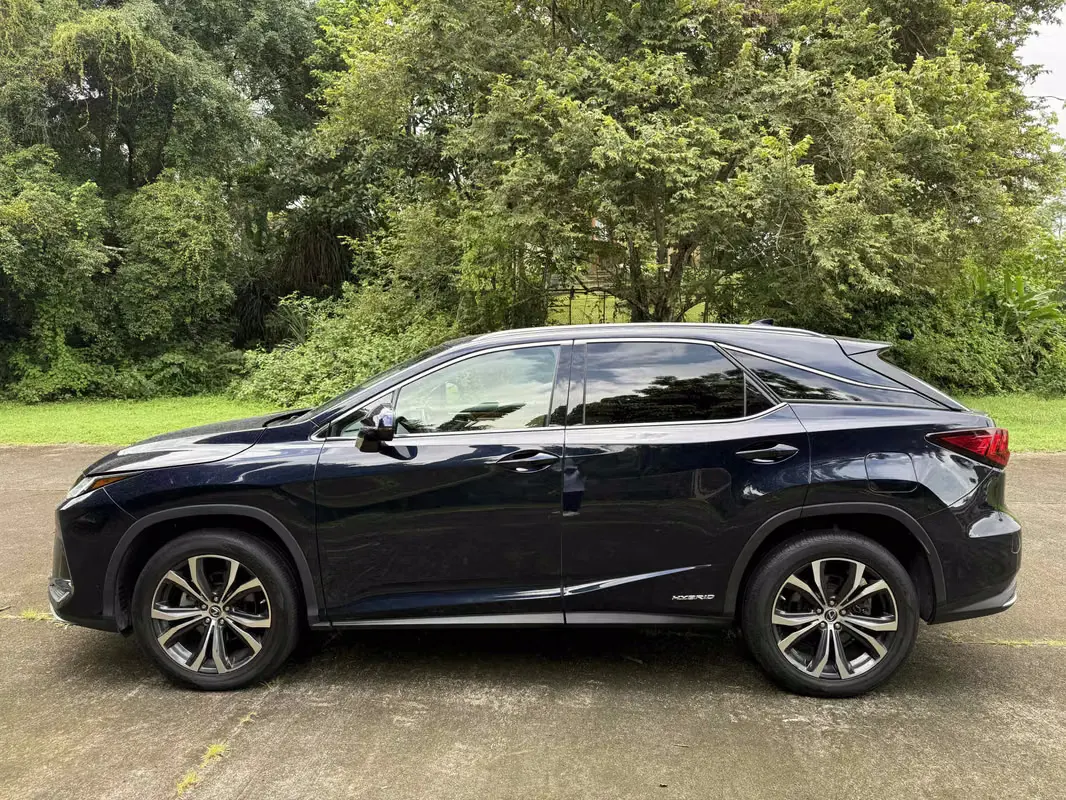 2021 Lexus RX