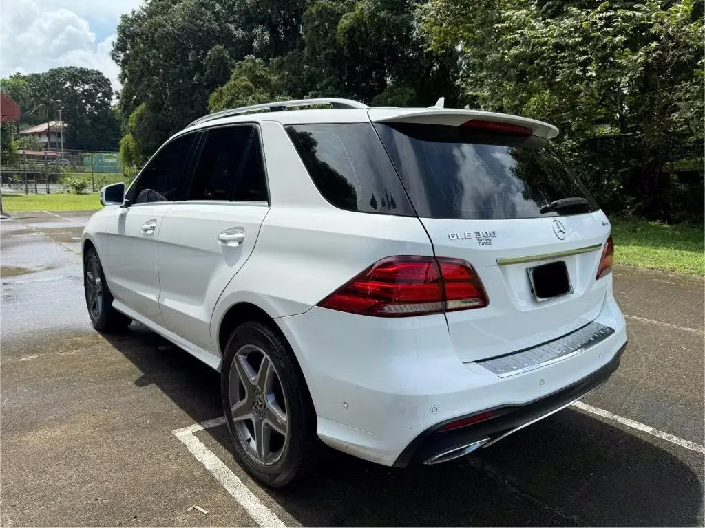2018 Mercedes-Benz GLE