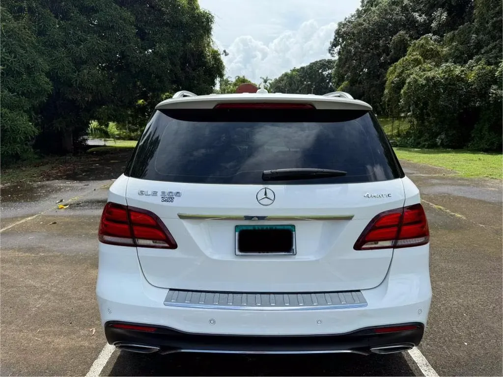 2018 Mercedes-Benz GLE