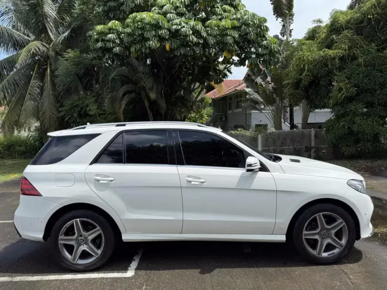 2018 Mercedes-Benz GLE