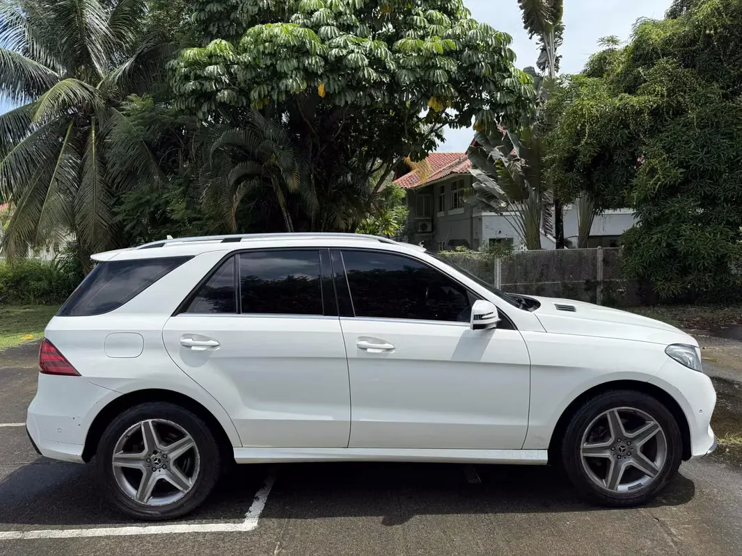 2018 Mercedes-Benz GLE