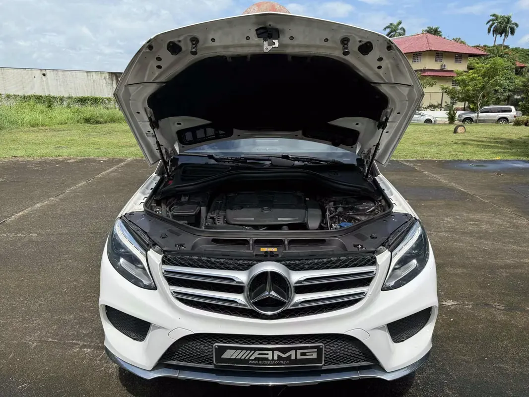 2018 Mercedes-Benz GLE