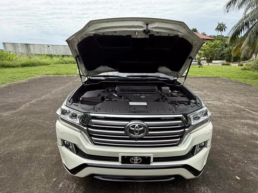 2019 Toyota Land Cruiser