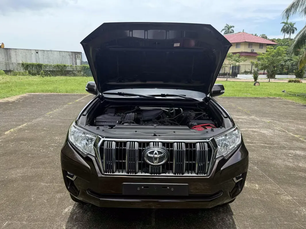 2019 Toyota Land Cruiser Prado