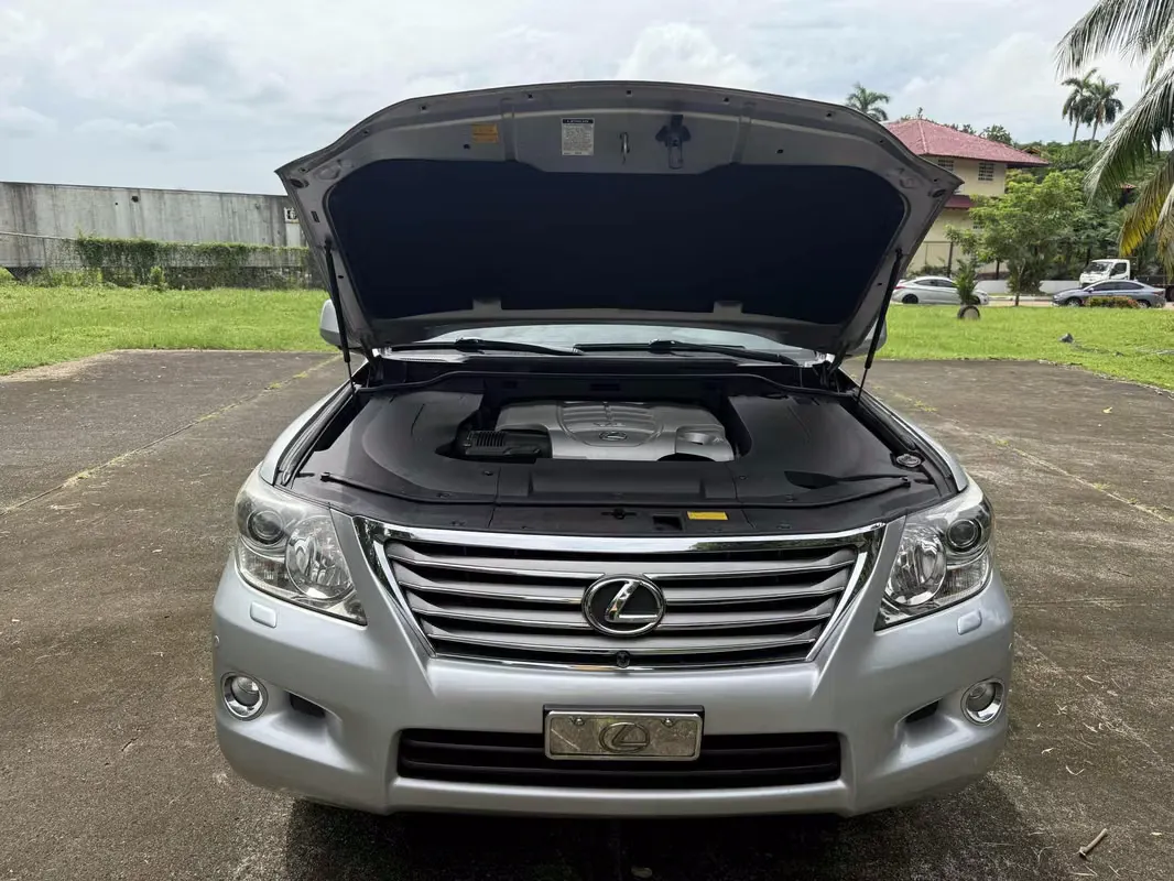 2010 Lexus LX