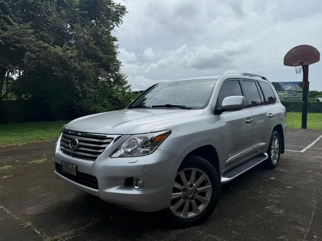 2010 Lexus LX