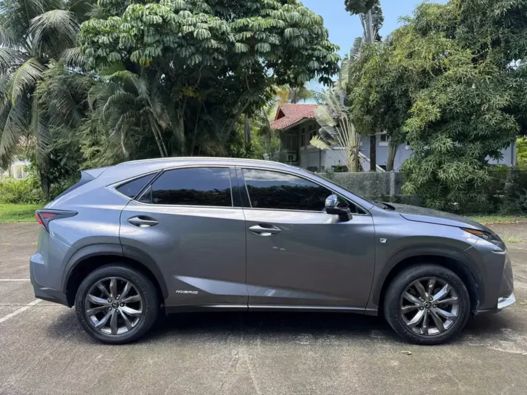 2016 Lexus NX