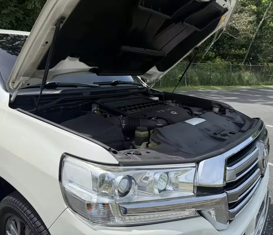 2019 Toyota Land Cruiser