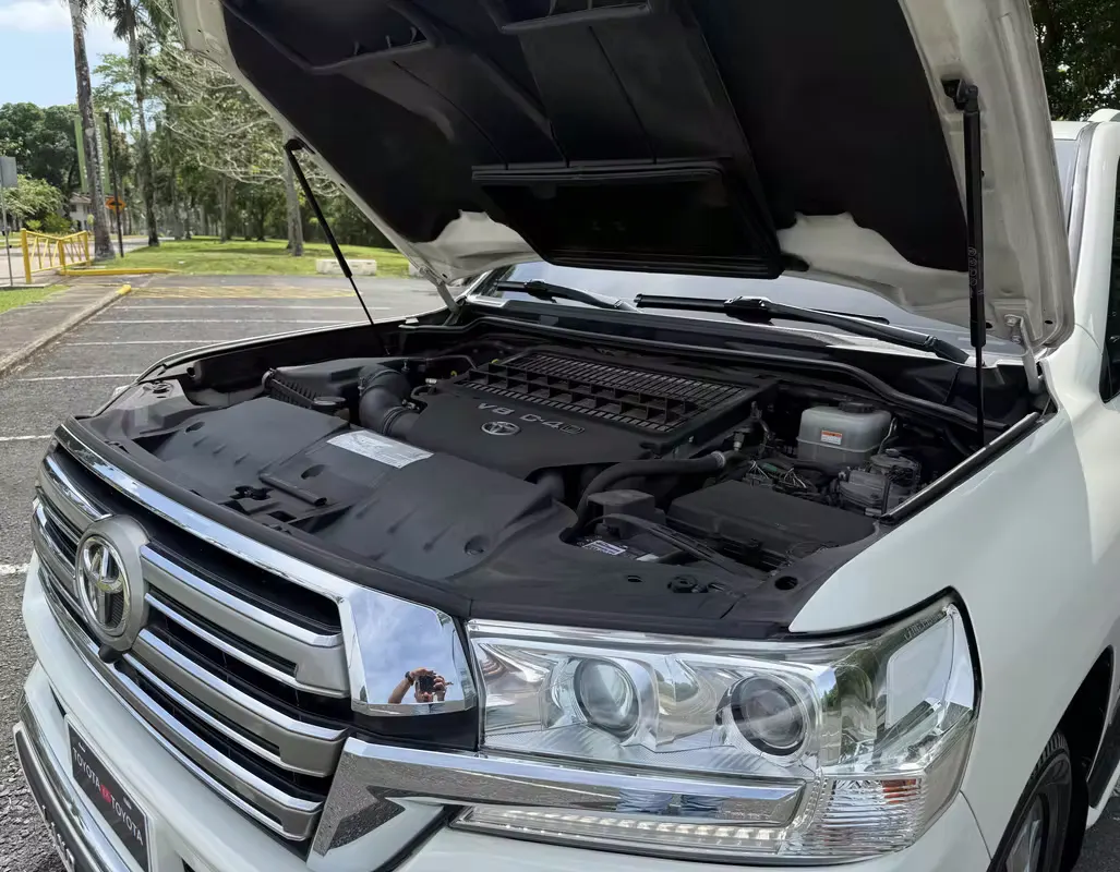 2019 Toyota Land Cruiser