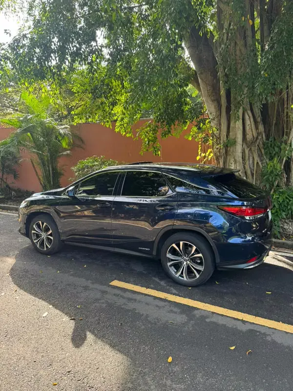2020 Lexus RX 450h