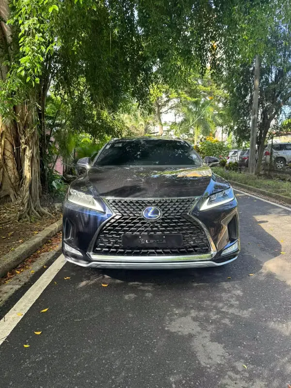 2020 Lexus RX 450h
