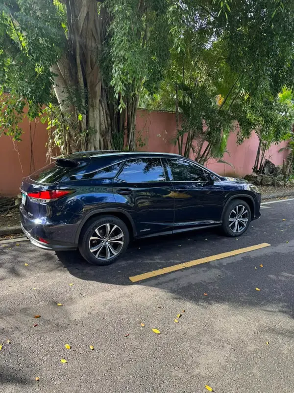 2020 Lexus RX 450h