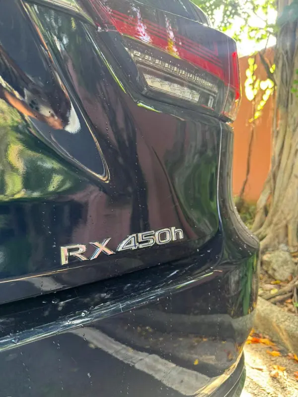 2020 Lexus RX 450h